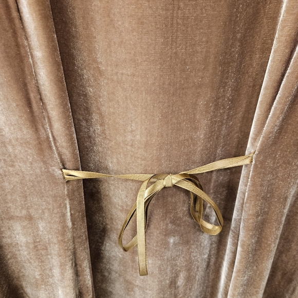 Vintage - Rayon/Silk Blend Velvet Boston Proper Tan Maxi Dress - Size XL - Picture 12 of 12